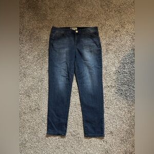 Democracy Indigo Skinny Jeans